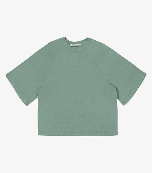 Blusa Feminina Raglan Viscotricot e Ribana Endless Verde